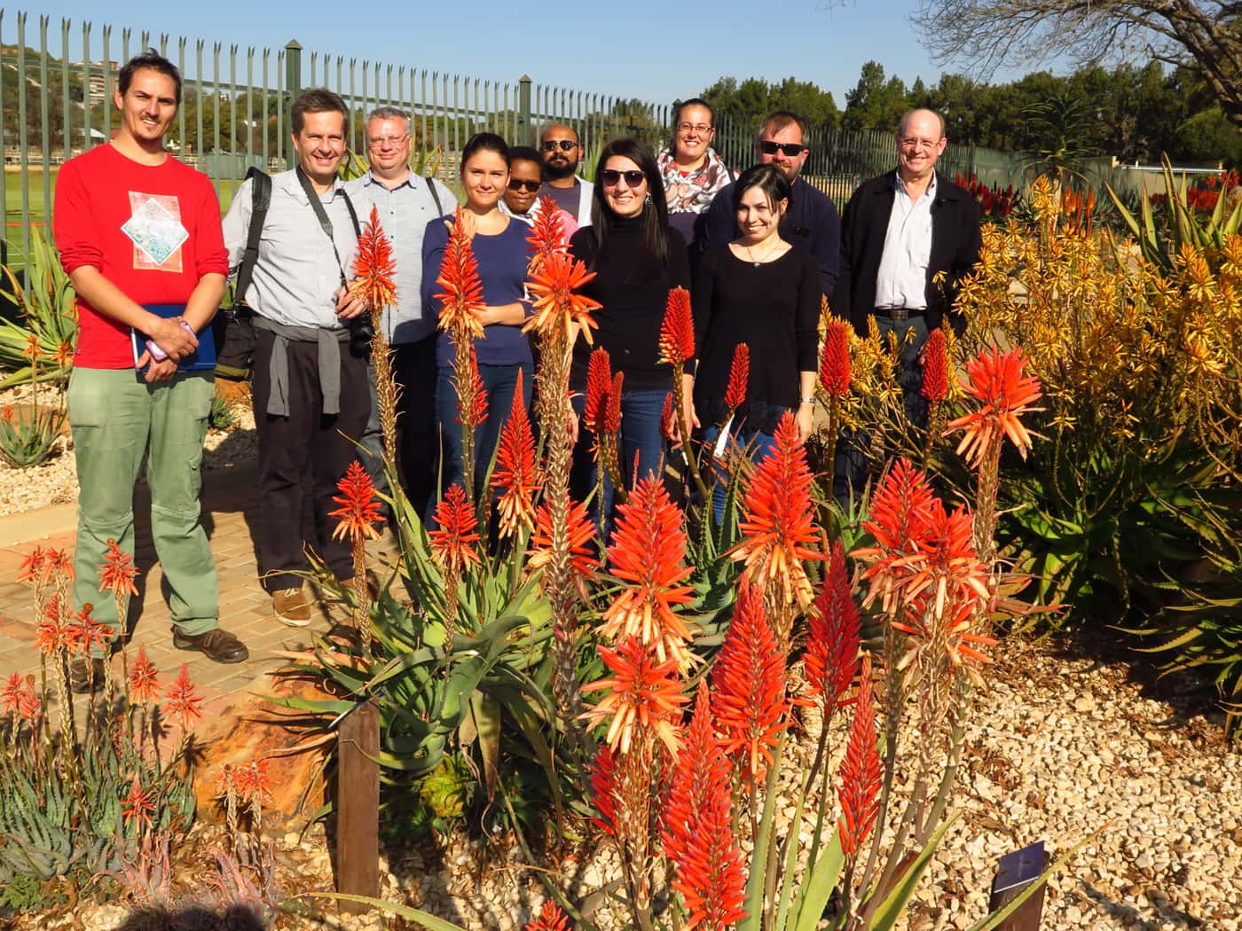 FABIans take in spectacle of aloes in full bloom
