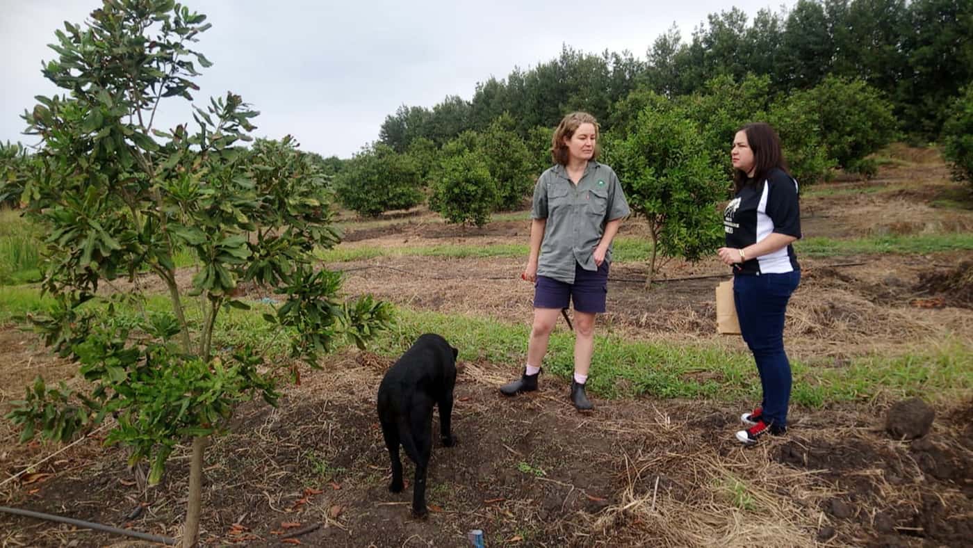 Macadamia Protection Programme members engages with stakeholders