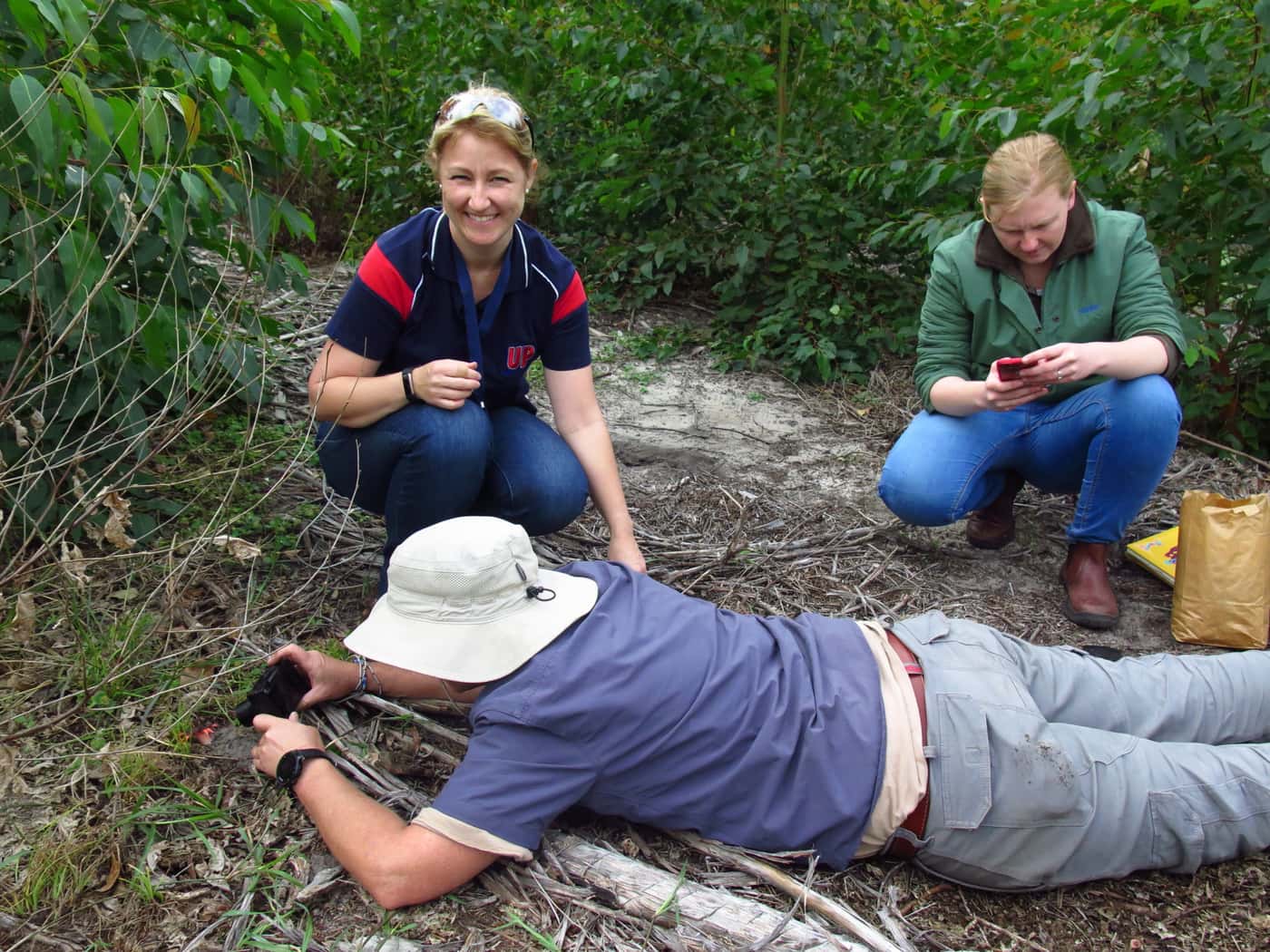 Field visit to inspect Ceratocystis infected Eucalyptus