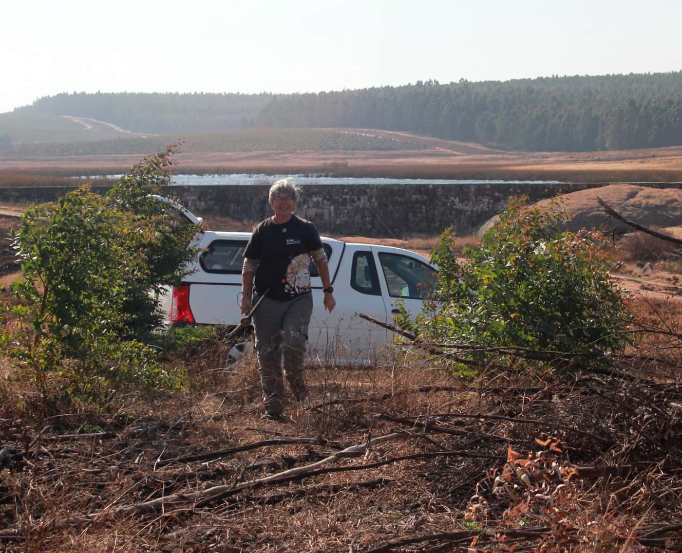 FABIan conducts a Eucalyptus root-rot disease survey
