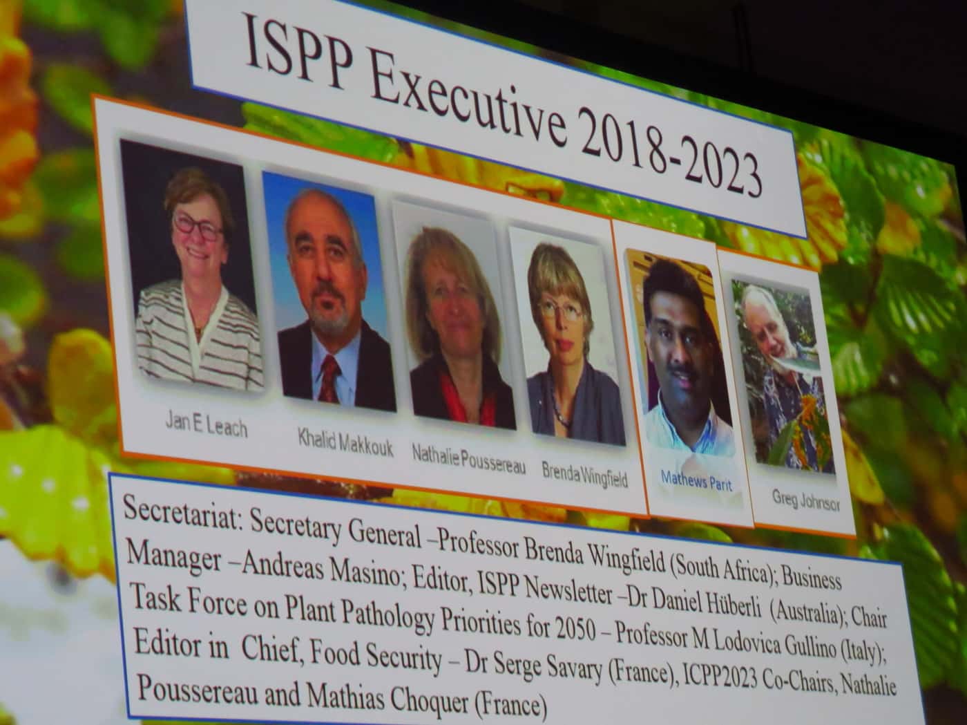 FABIans make a significant impact the international 50th Anniversary Congress of the ICPP