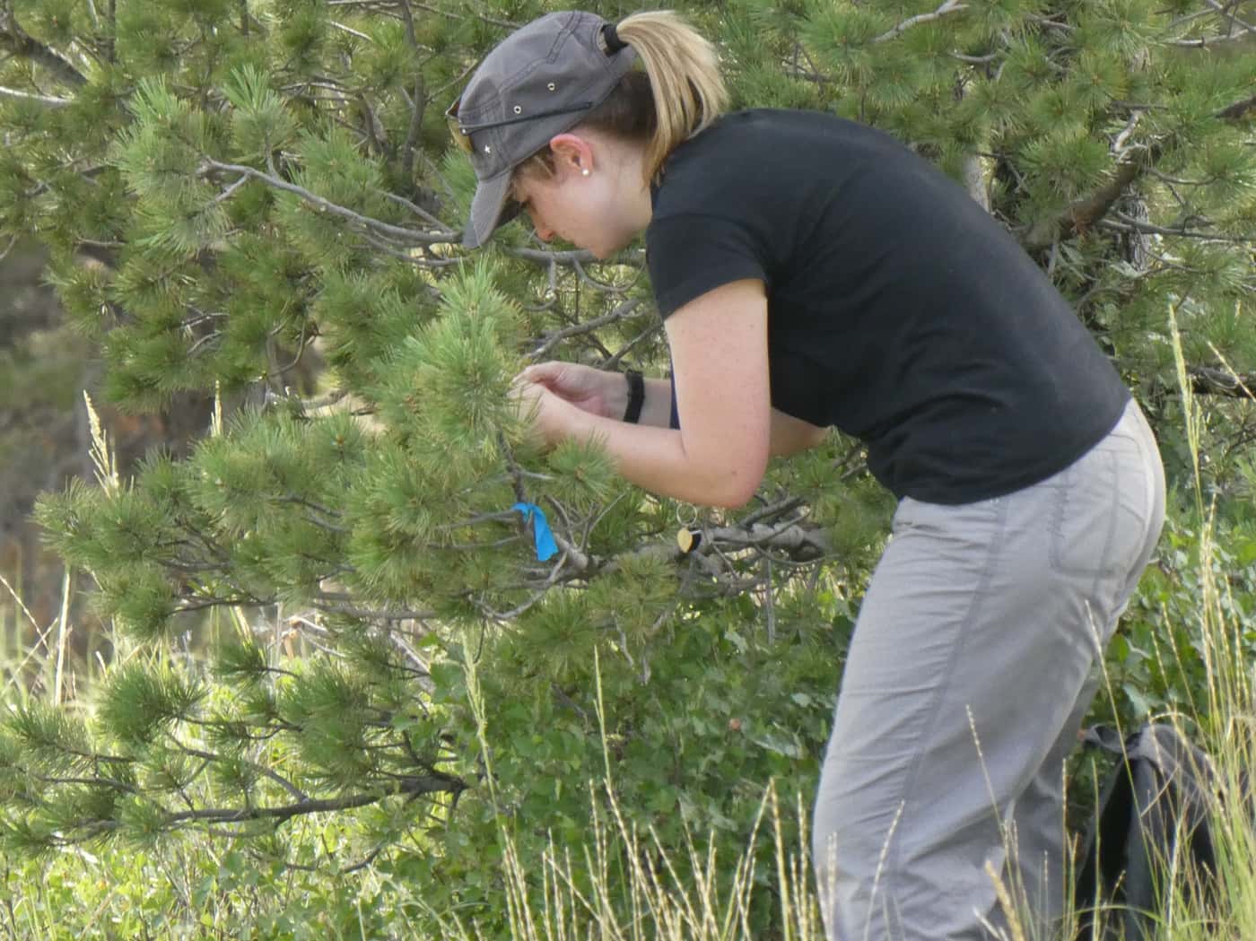 FABIan on North American field trip to collect samples