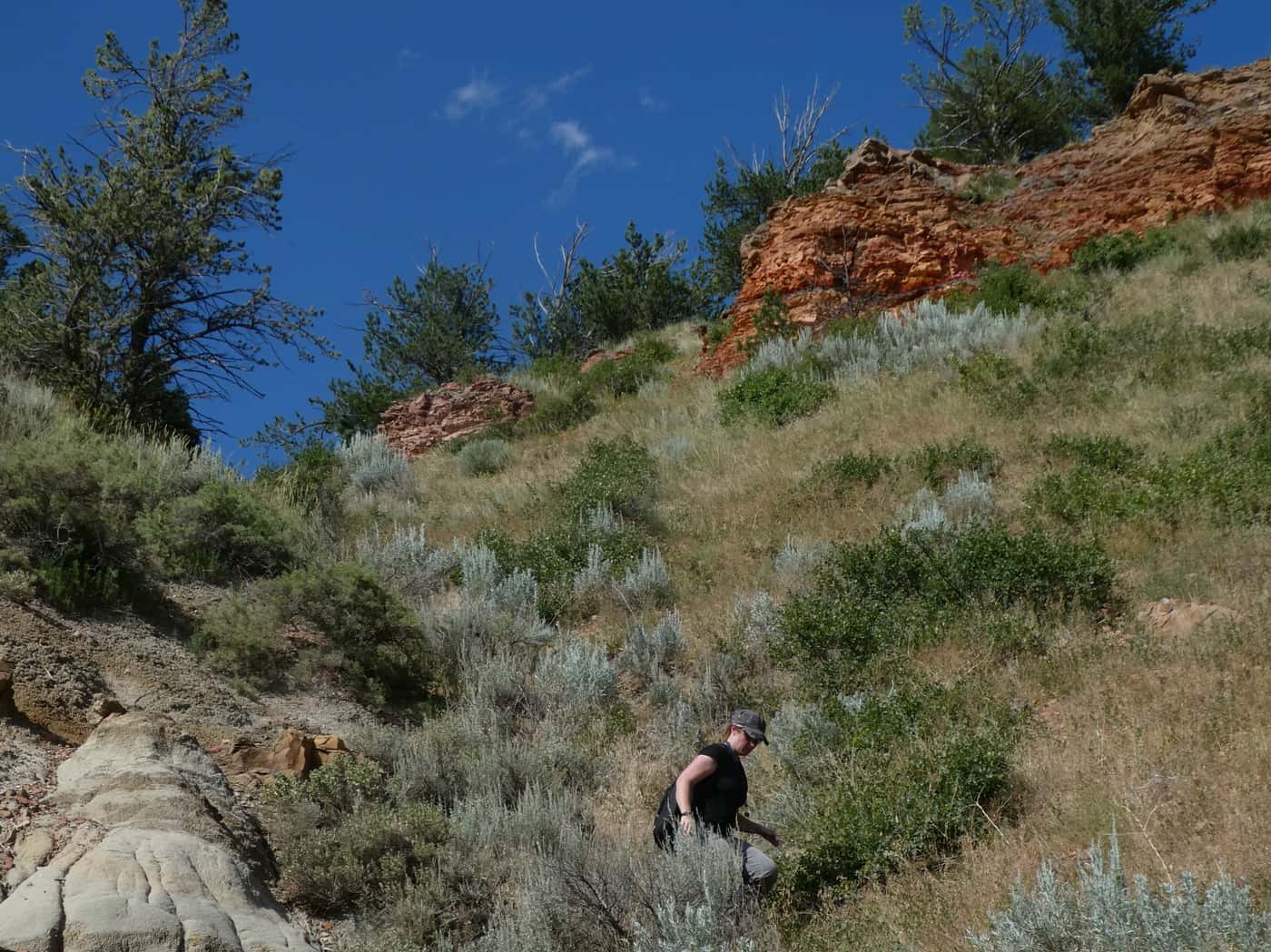 FABIan on North American field trip to collect samples