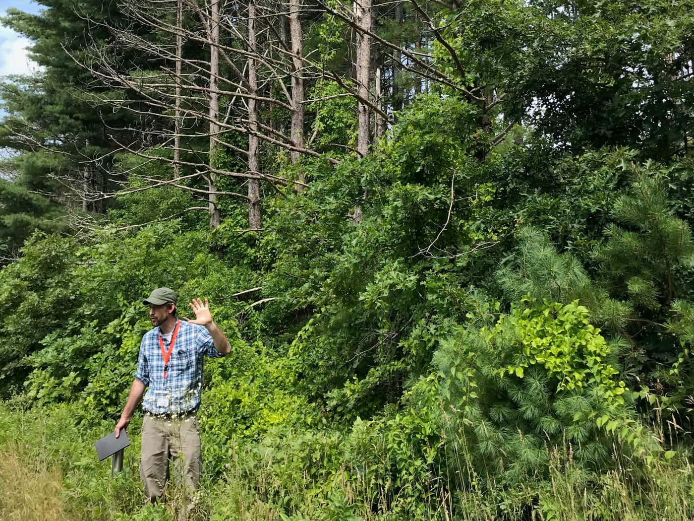FABIans participate in ICPP Forest Pathology fieldtrip