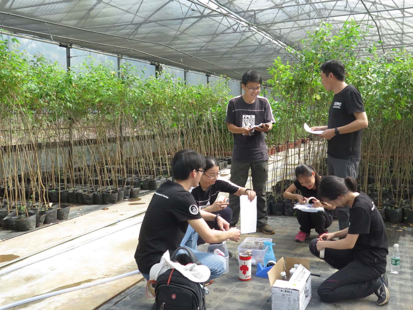 CERC-FABI team conducts major inoculation experiment