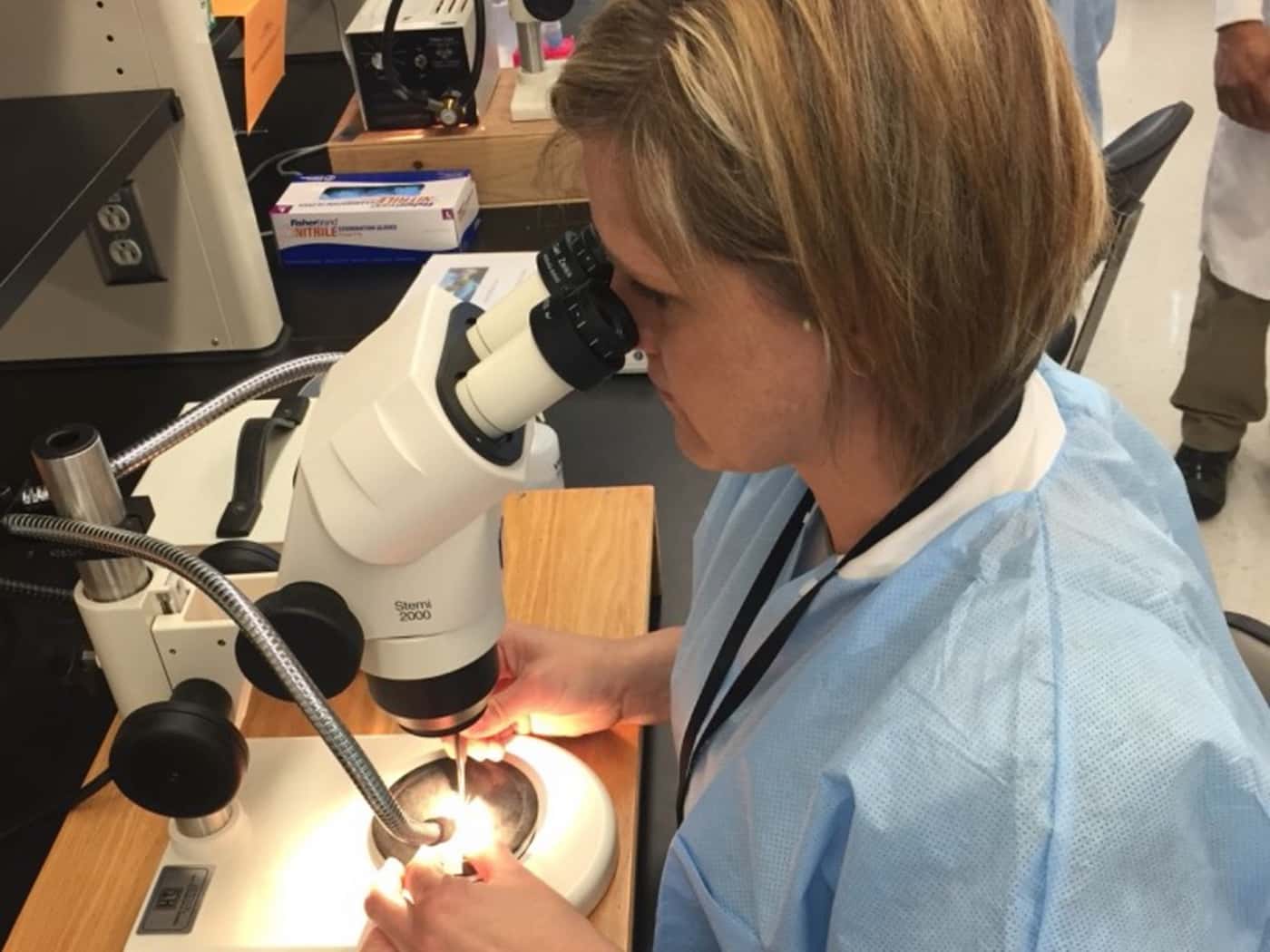 FABIan attends an Insect Genetic Technologies course in the USA