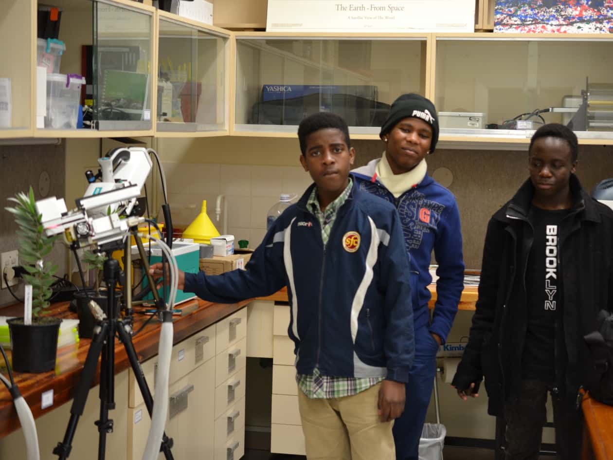 FABI initiative featured in Science Magazine