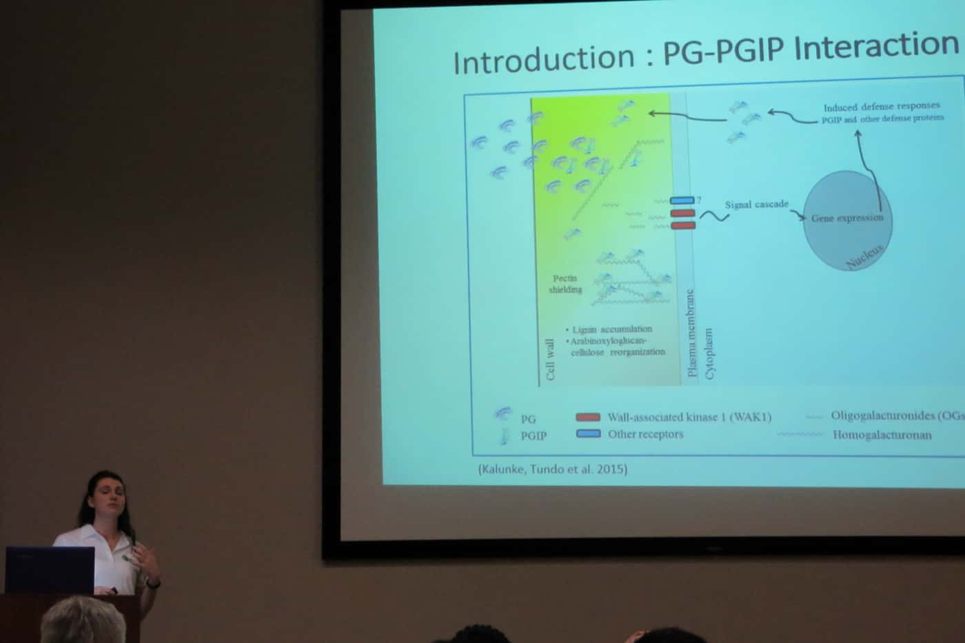 The Avocado Research Programme hosts a series of lectures to commemorate its 10th year anniversary