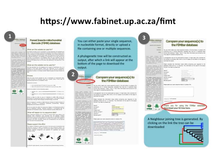 An online DNA sequence database to support forest-pest management