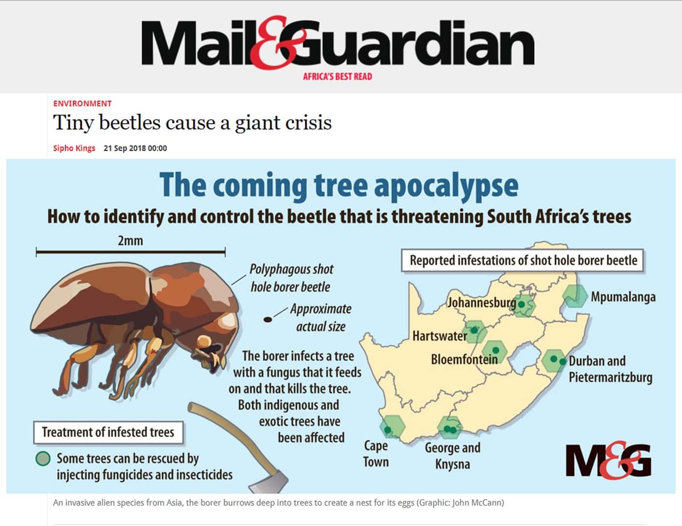 Shot Hole Borer invasion places FABI in the spotlight