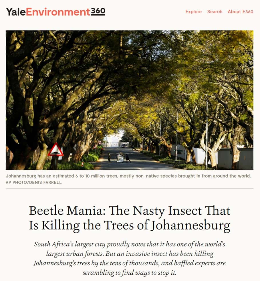 Shot Hole Borer invasion places FABI in the spotlight