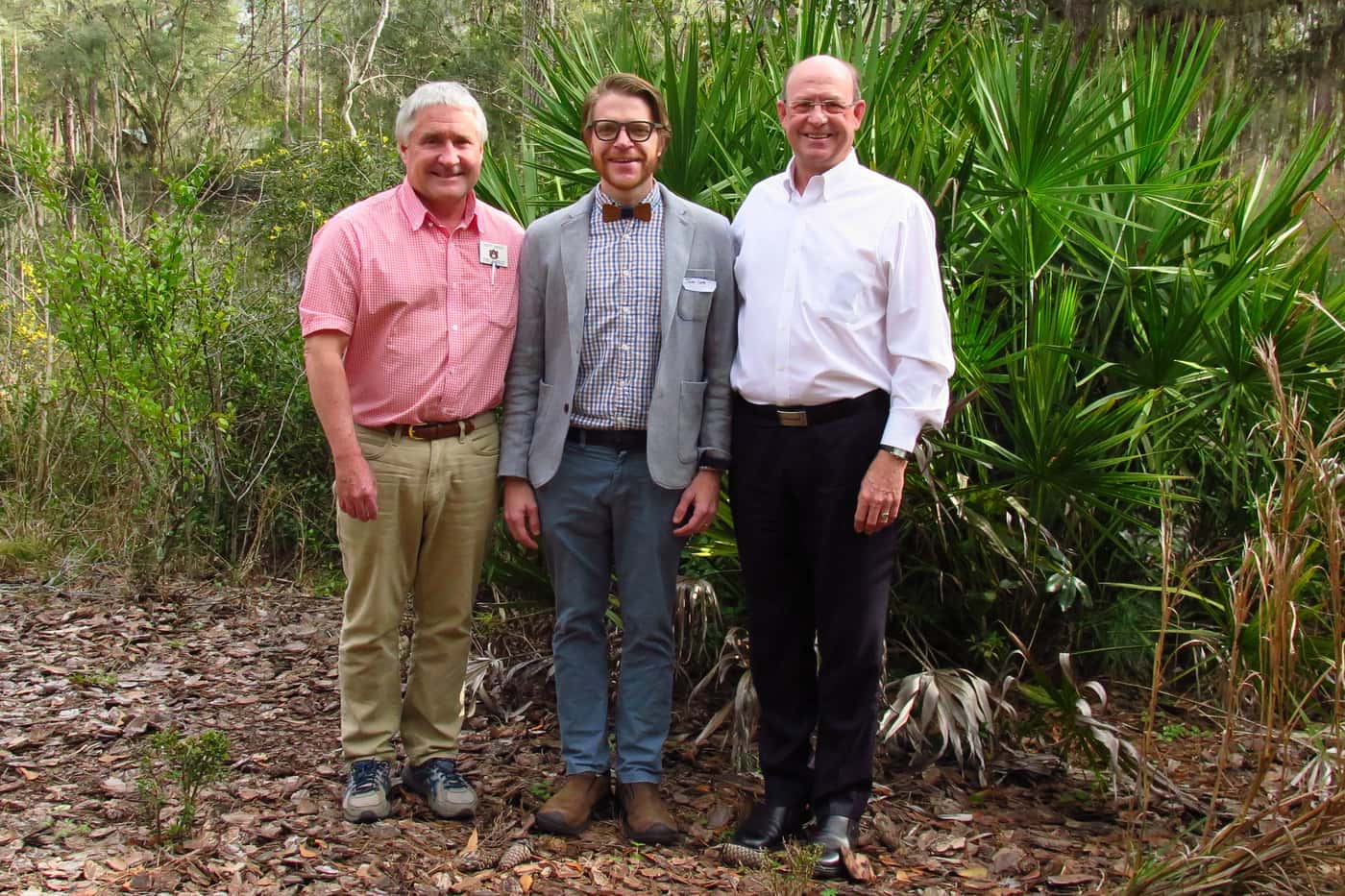 A tree health engagement in Florida