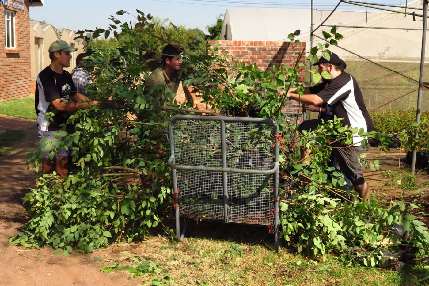 FABIans flexed their green fingers at 2019’s first tree planting session