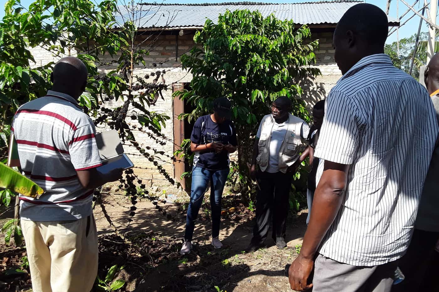 Crossing the Equator: A research visit to the National Coffee Research Institute (NaCORI) in Uganda