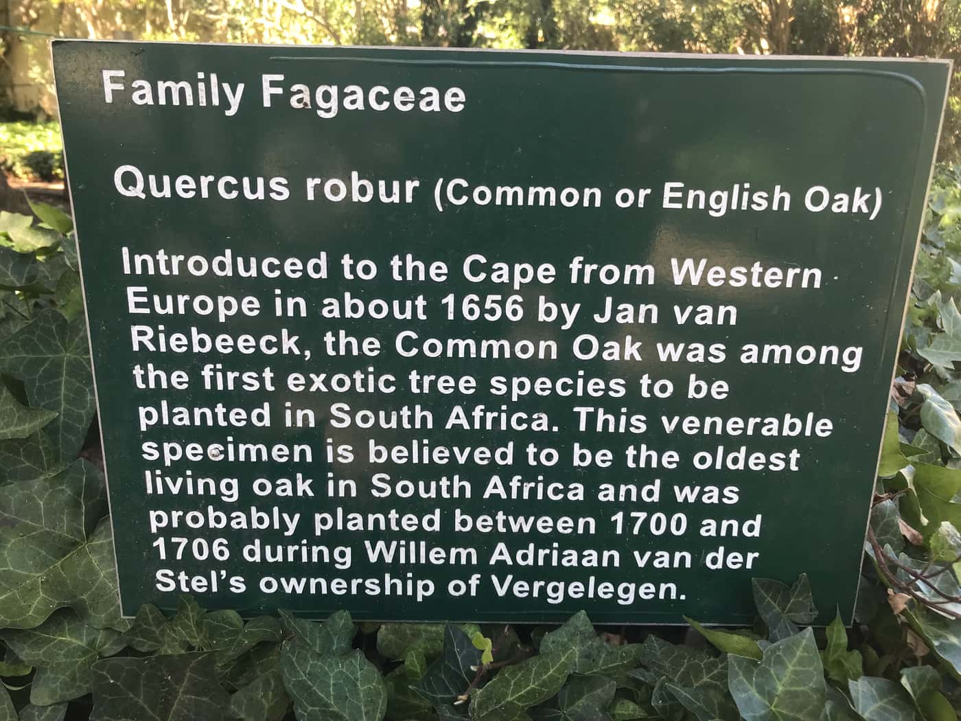 Shothole Borer meetings in the Cape Peninsula