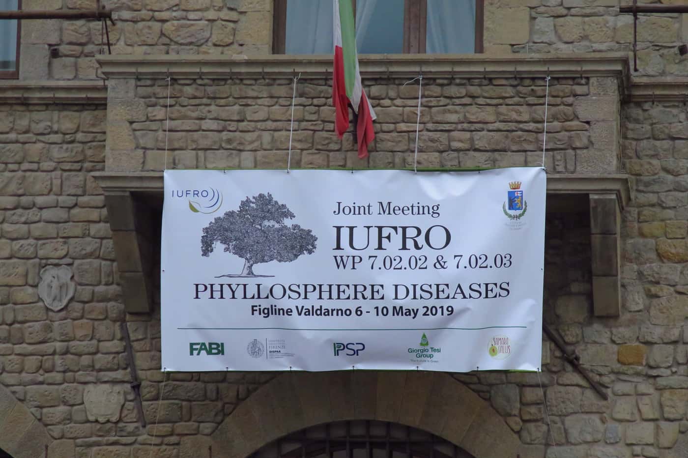 FABI at the IUFRO Shoot, Leaf And Wilt Diseases Meeting in Italy