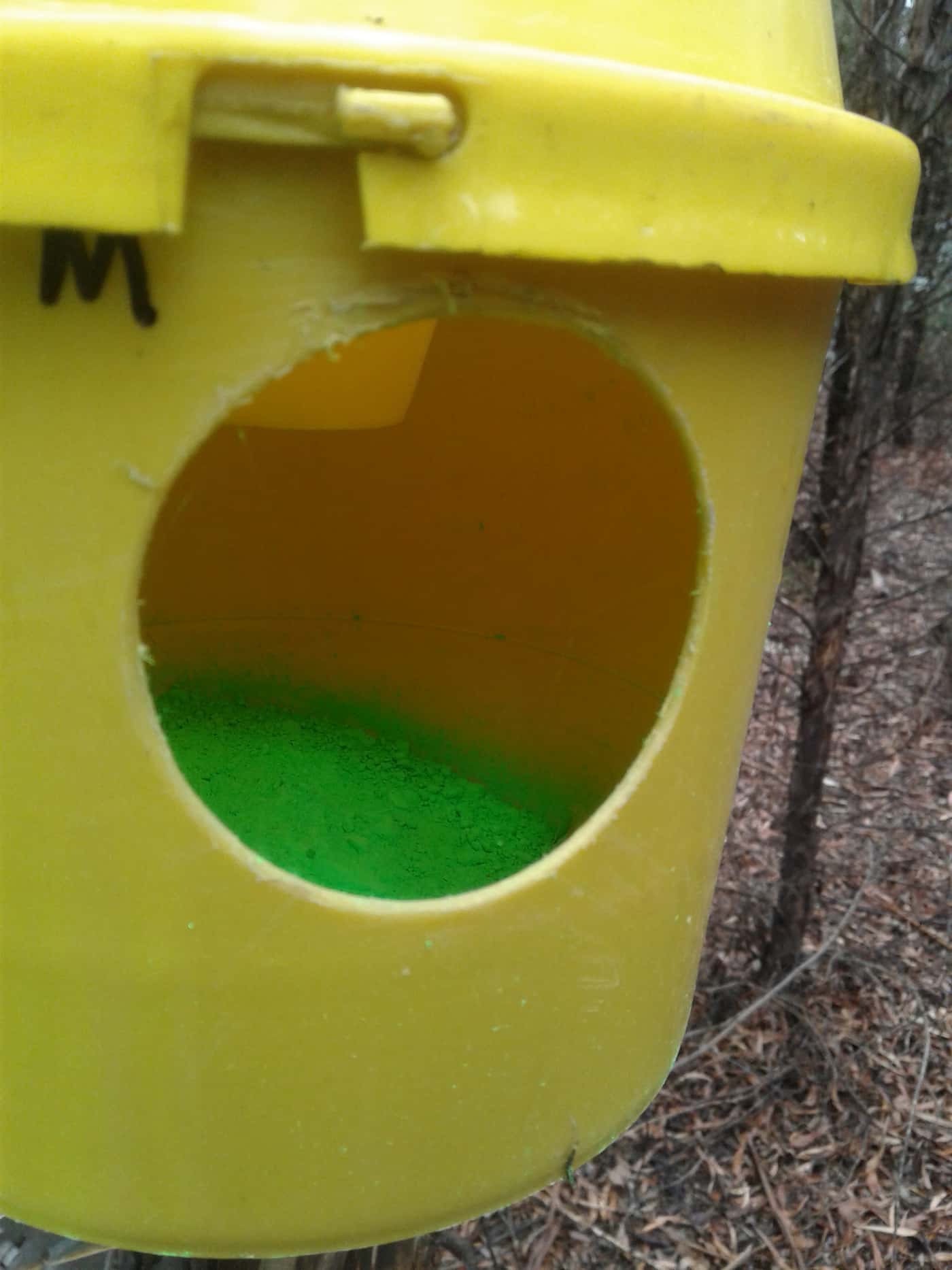 FABI chemical ecology field trials planned for 2019 and 2020