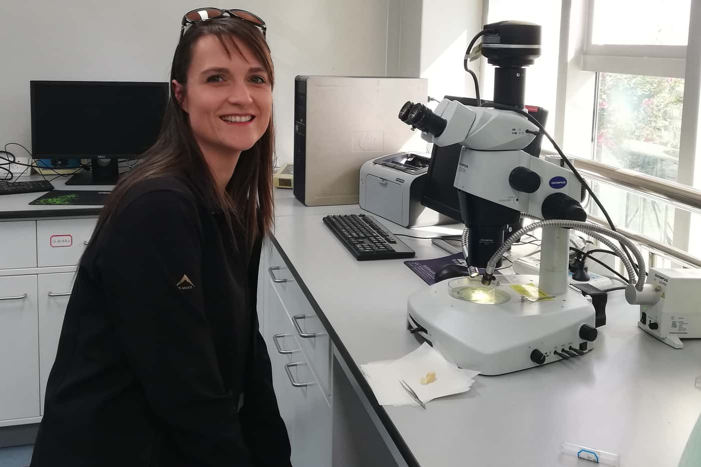 FABI researchers attend the International Macadamia R&D Conference in China