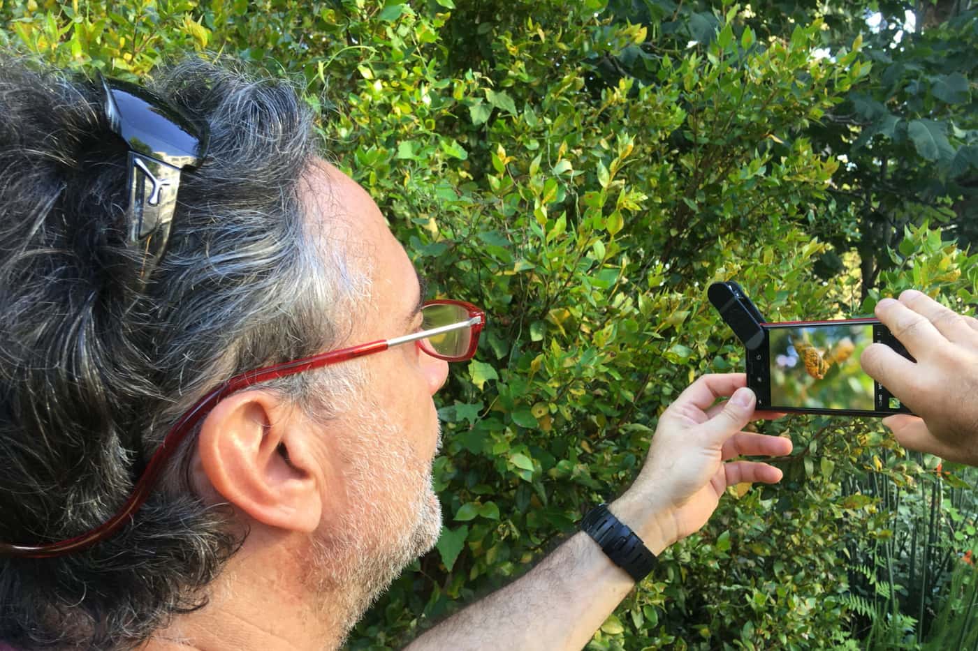 FABI contributes to CIB workshop
