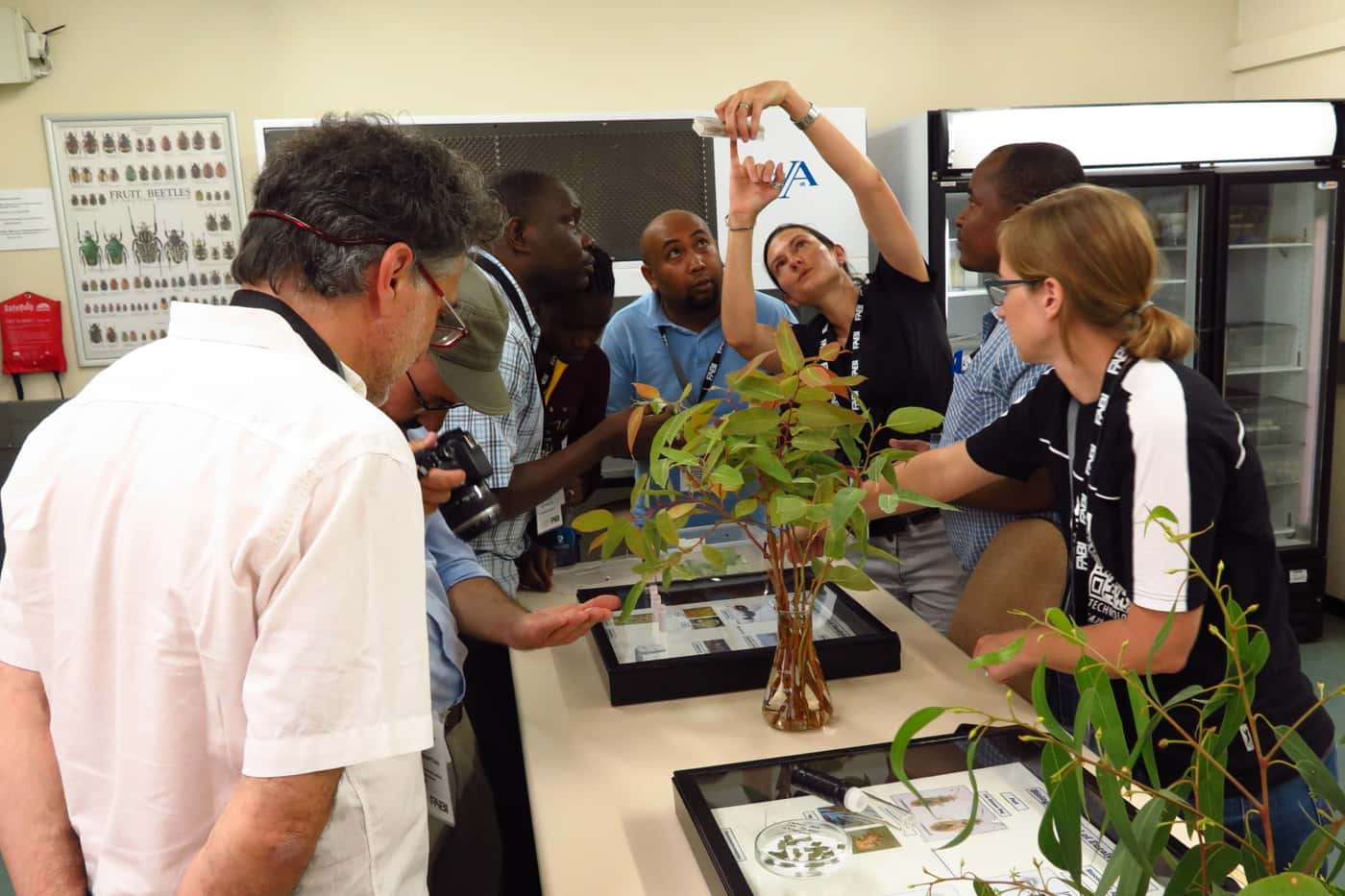 Researchers from 27 countries meet to discuss biological control of forest insect pests