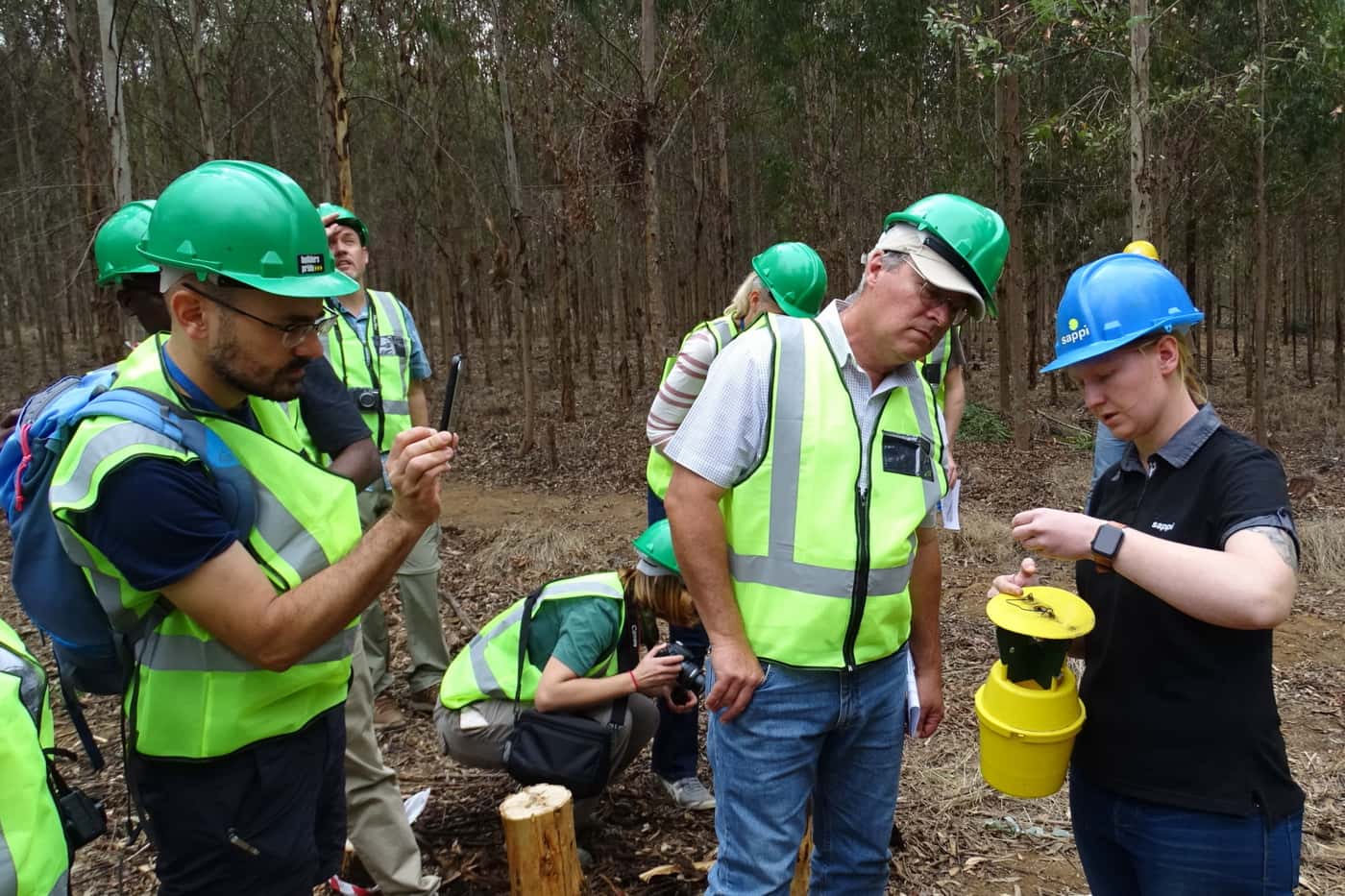 Researchers from 27 countries meet to discuss biological control of forest insect pests