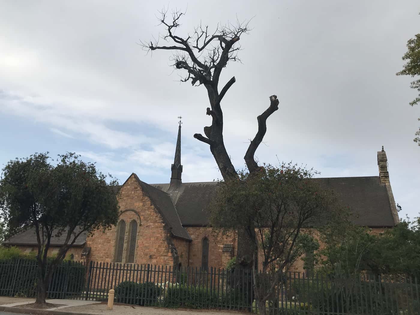 PSHB is spreading in the Western Cape