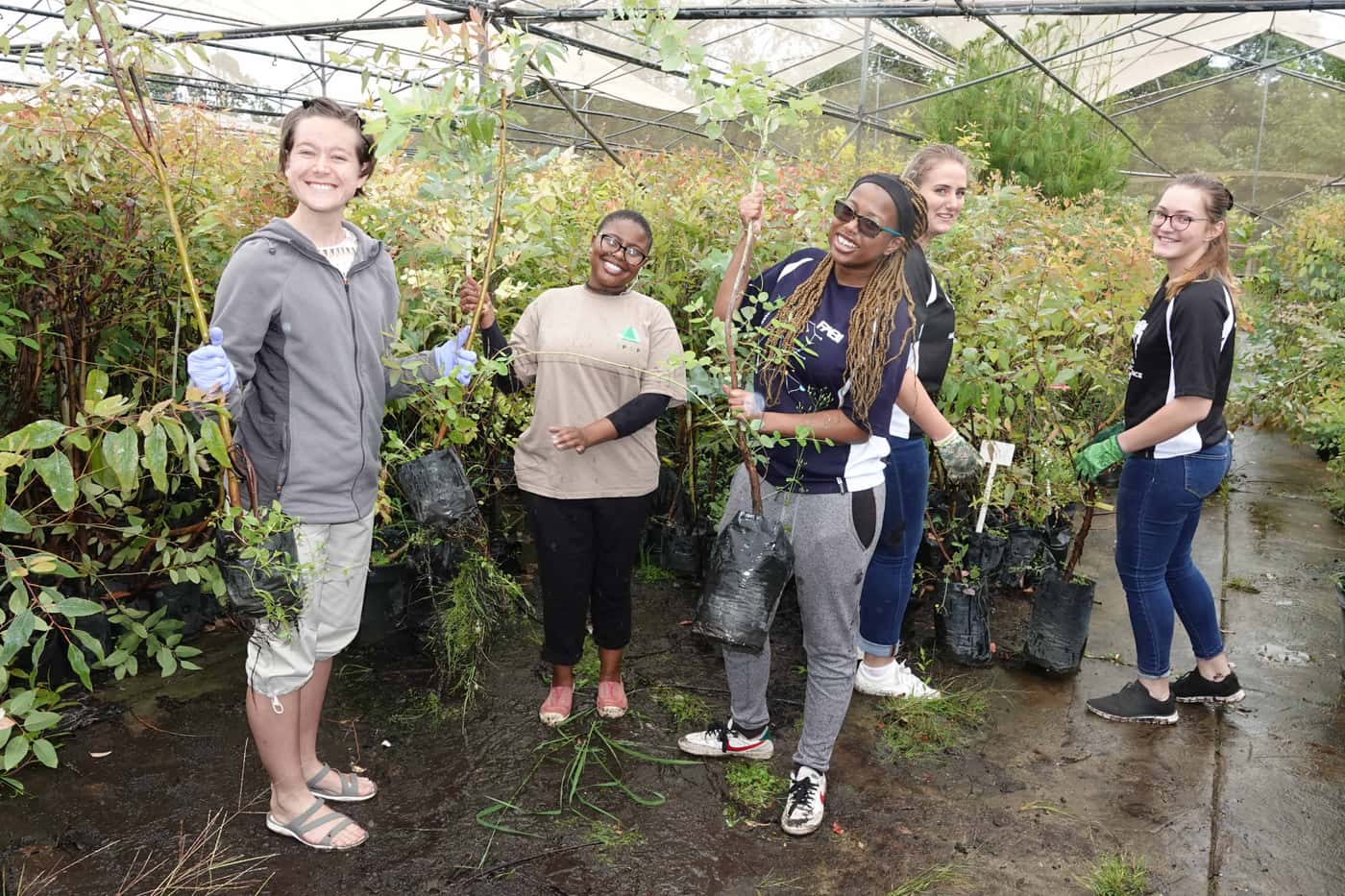 Tree Planting goes on despite wet conditions