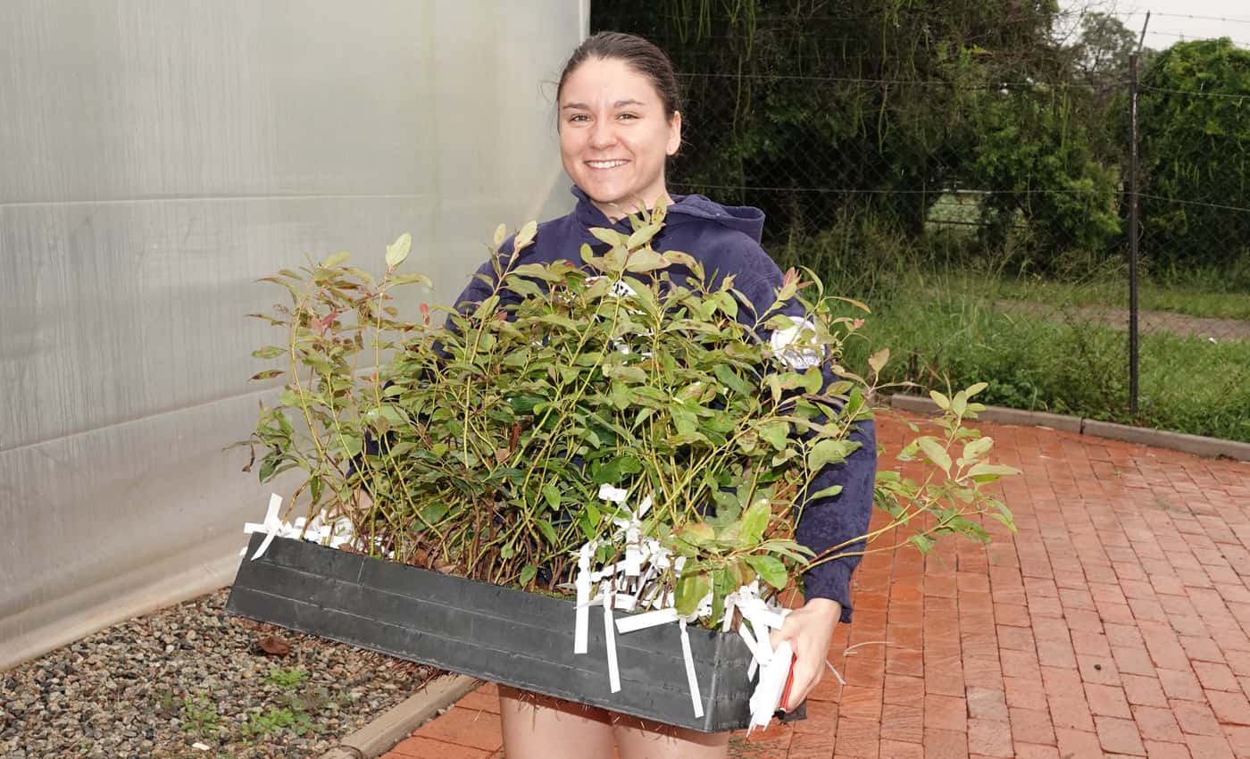 Tree Planting goes on despite wet conditions