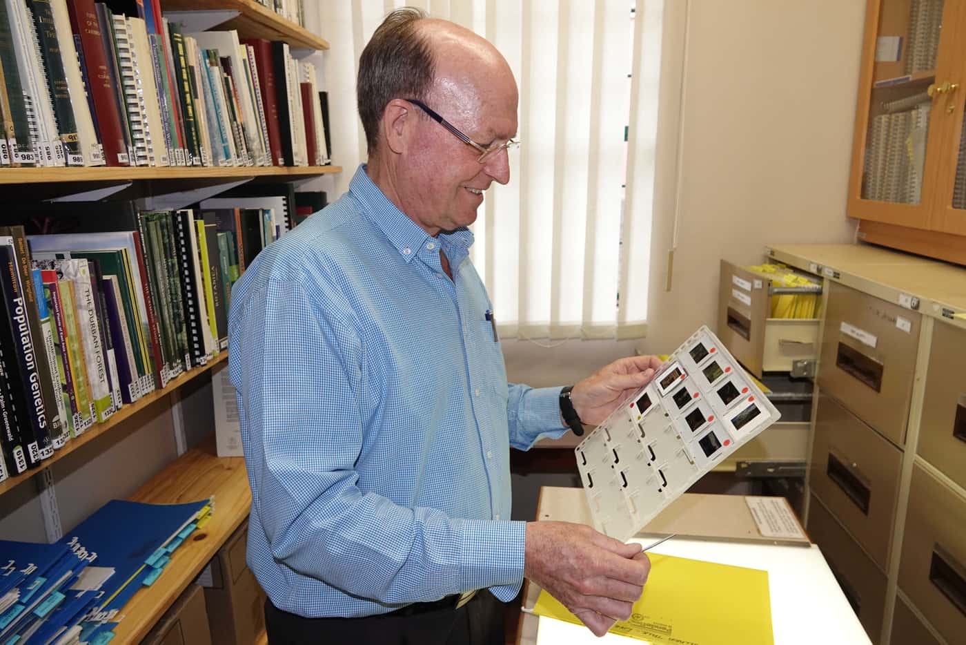 Mike Wingfield starts sorting through the FABI slide collection