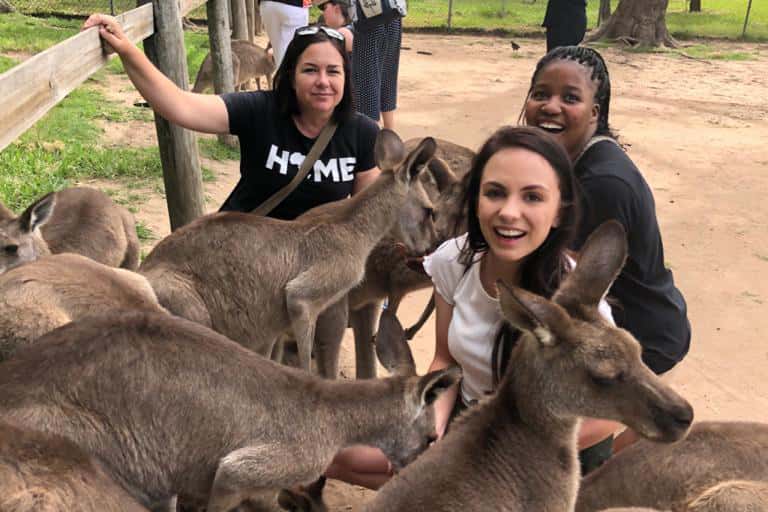 Macadamia Protection Program research visit to Australia