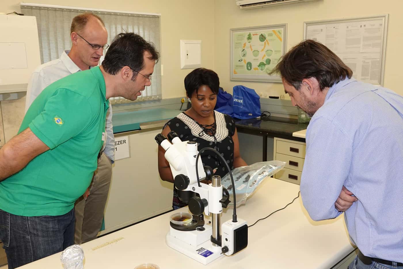 Brazilian forestry researchers visit FABI