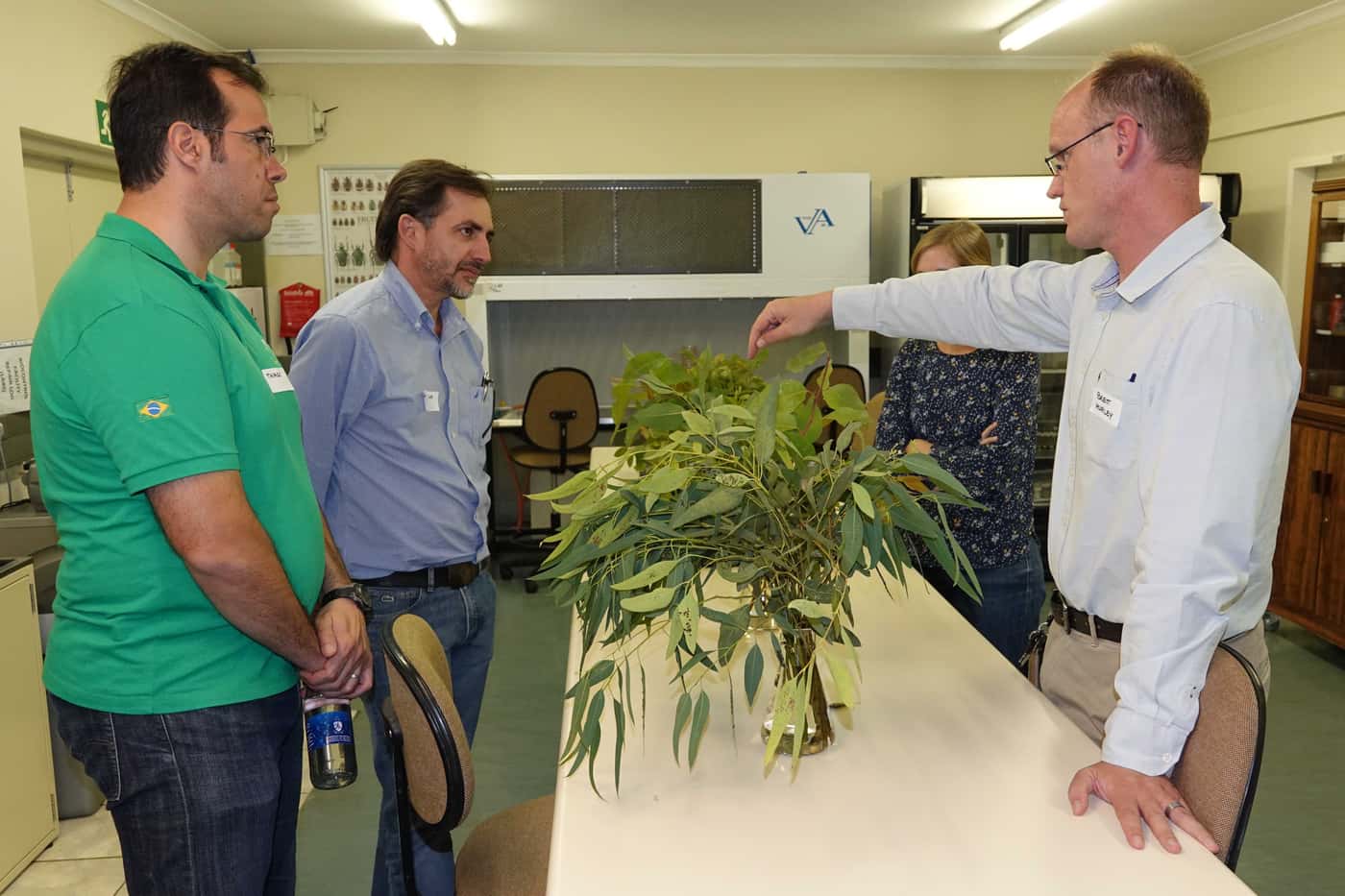 Brazilian forestry researchers visit FABI