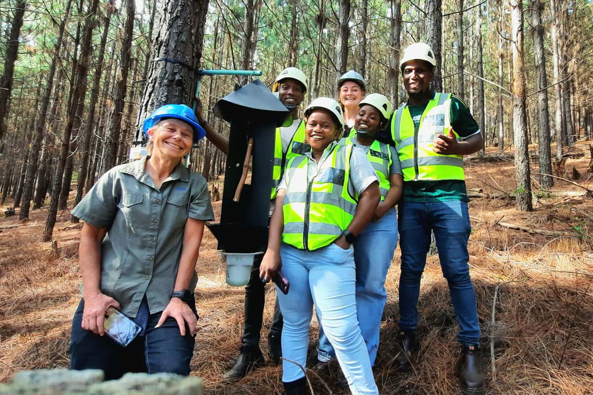 The SAPPI and FABI team with one of the <i>Pissodes</i> weevil  traps