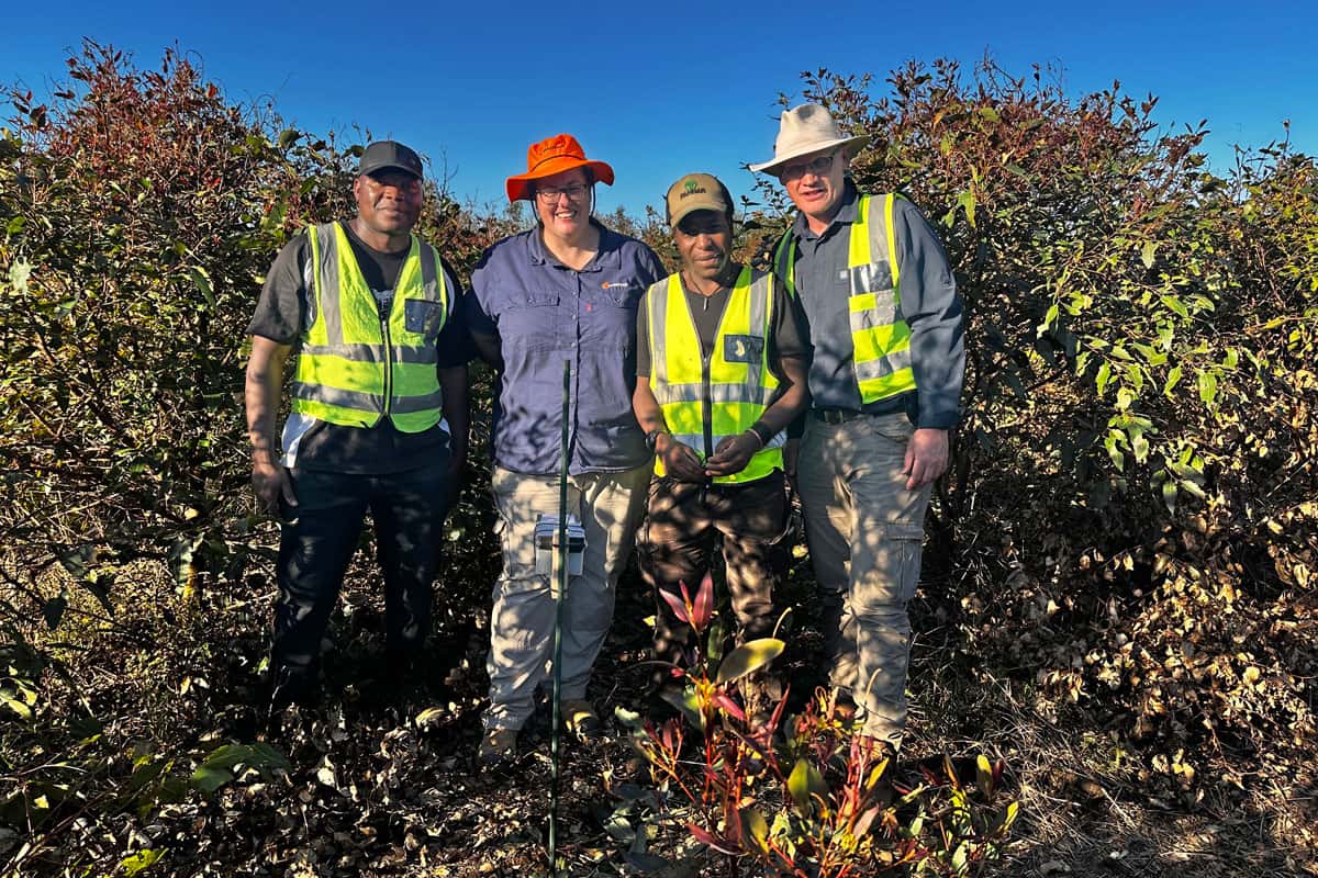 Dr Privilege Makunde, Izette Greyling, Mandlenkosi Dube and Prof. Brett Hurley in a Eucalyptus plantation