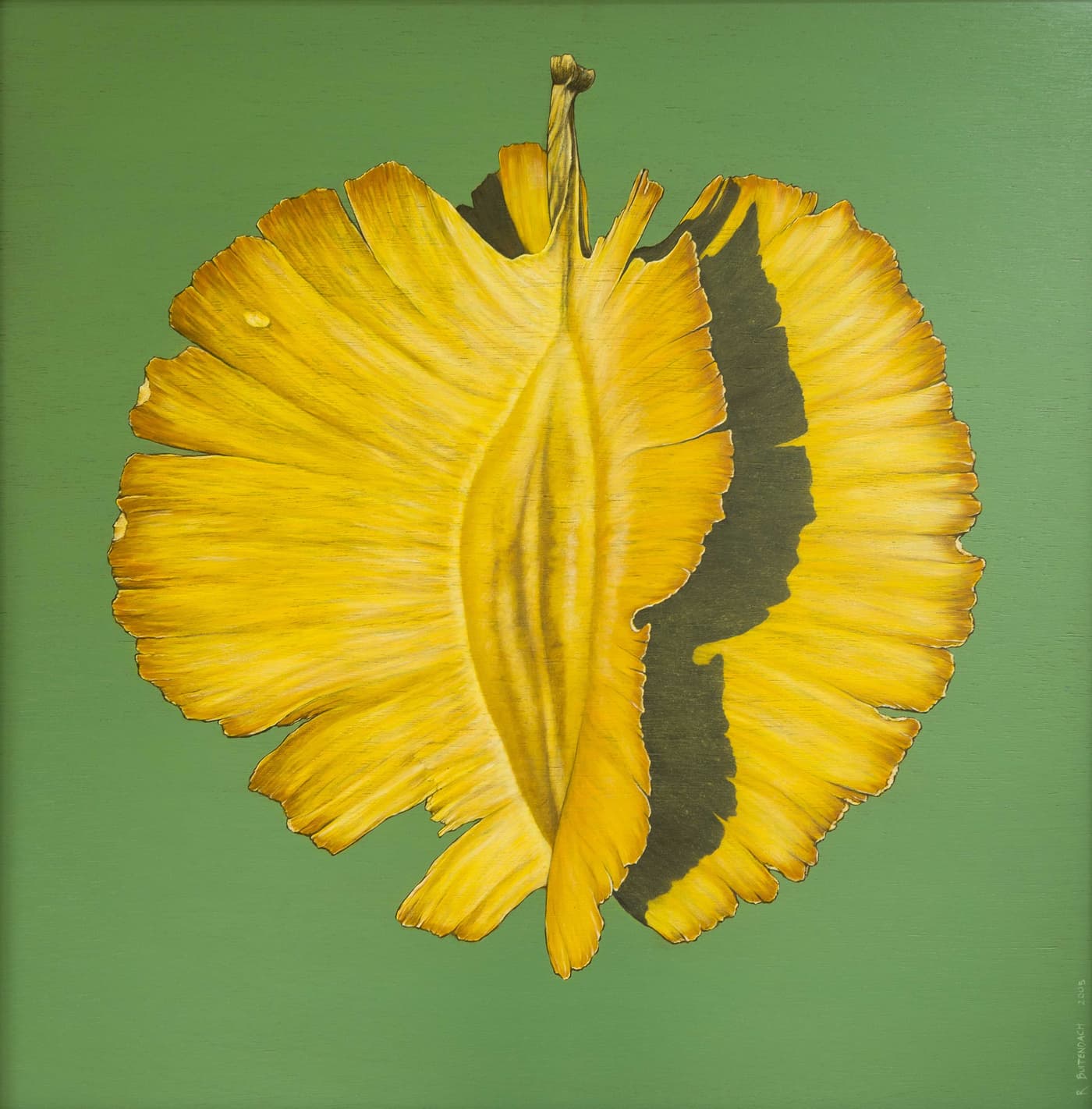 Retha Buitendach