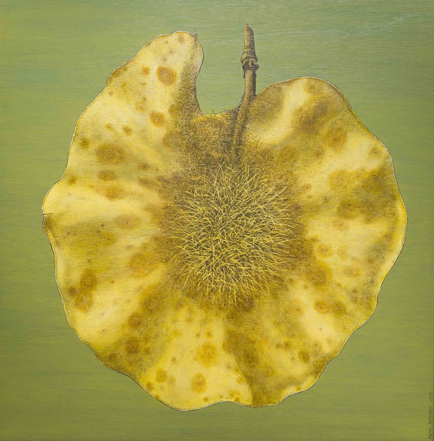 Retha Buitendach