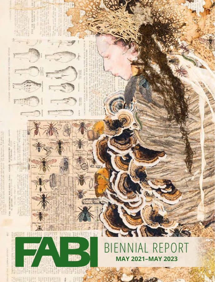 Cover of the FABI Biennial Report 2022–2023