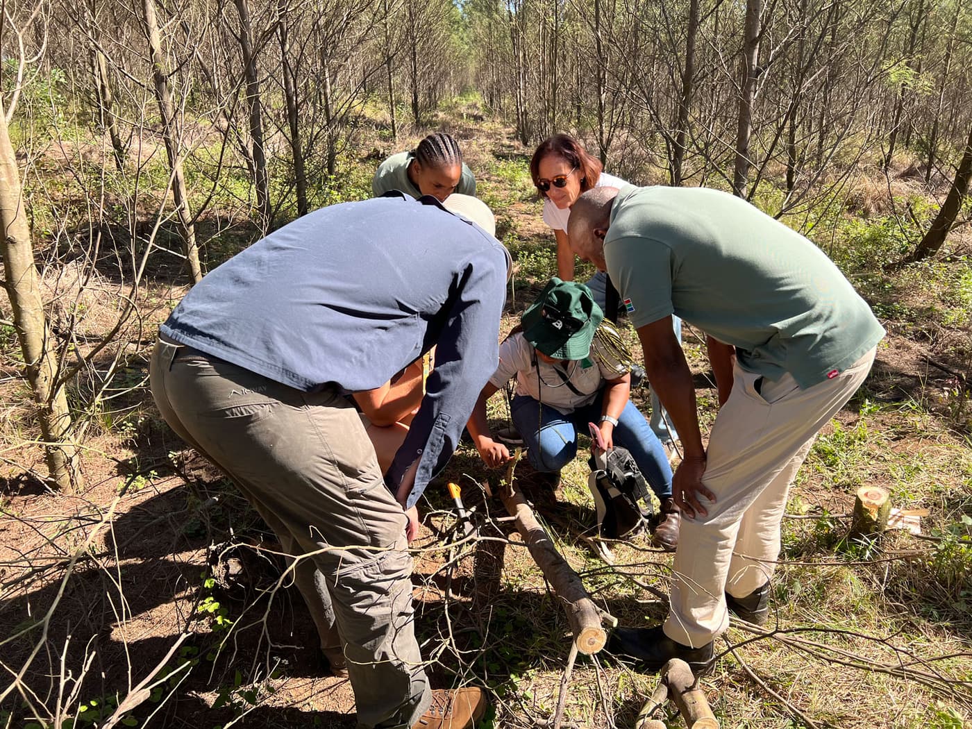 TPCP_thumbnail