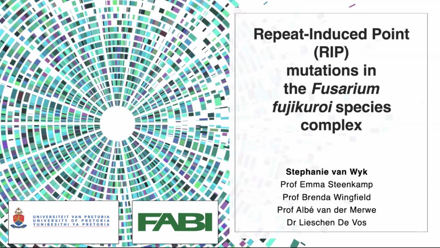 Stephanie van Wyk becomes the first FABIan to present her Prestige Seminar online