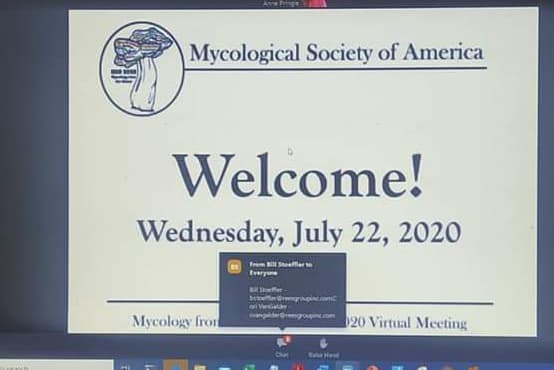 FABI mycologists participate in the annual MSA meeting: Mycology in the cloud