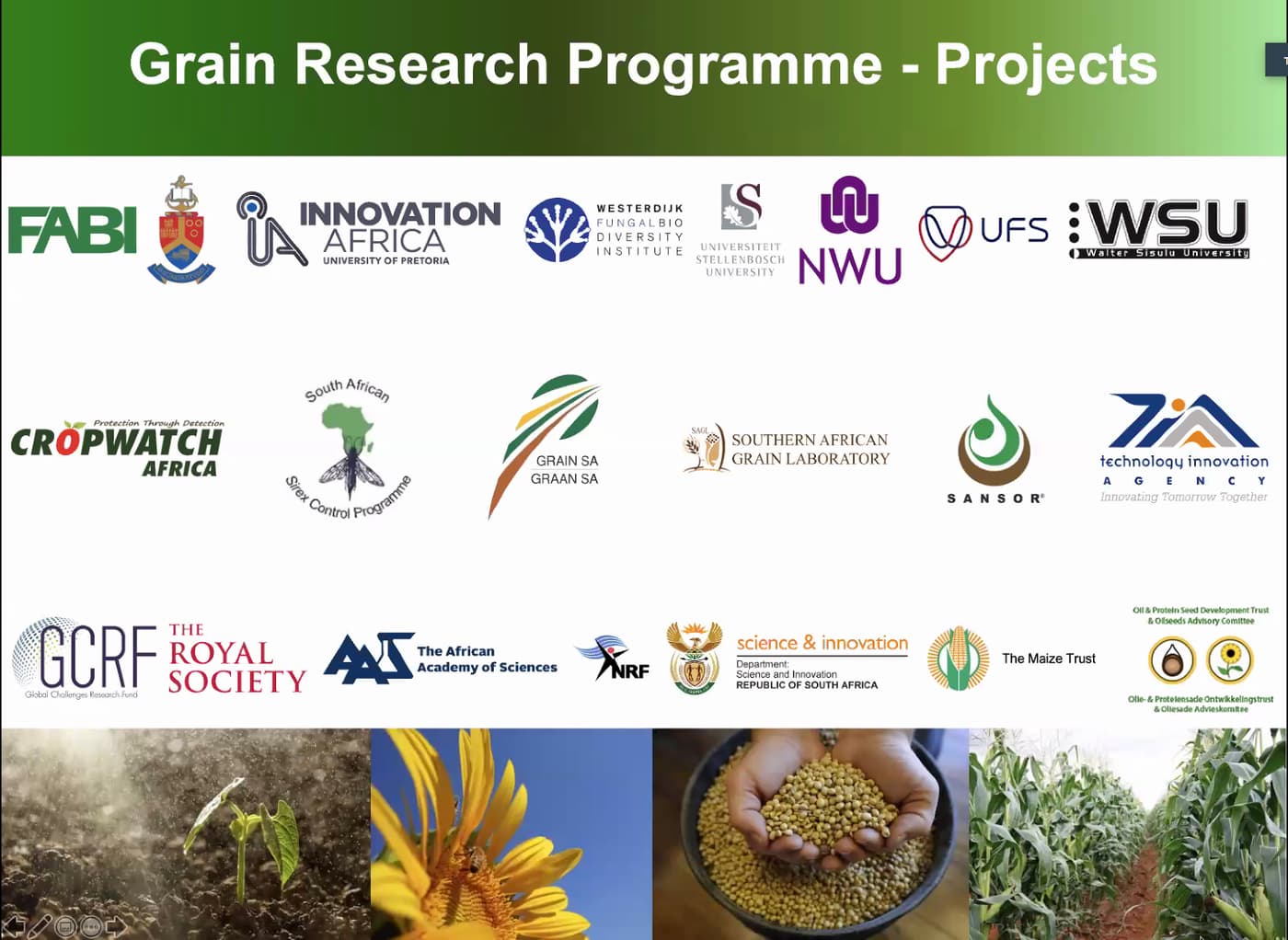 FABI launches its multi-disciplinary Grain Research Programme