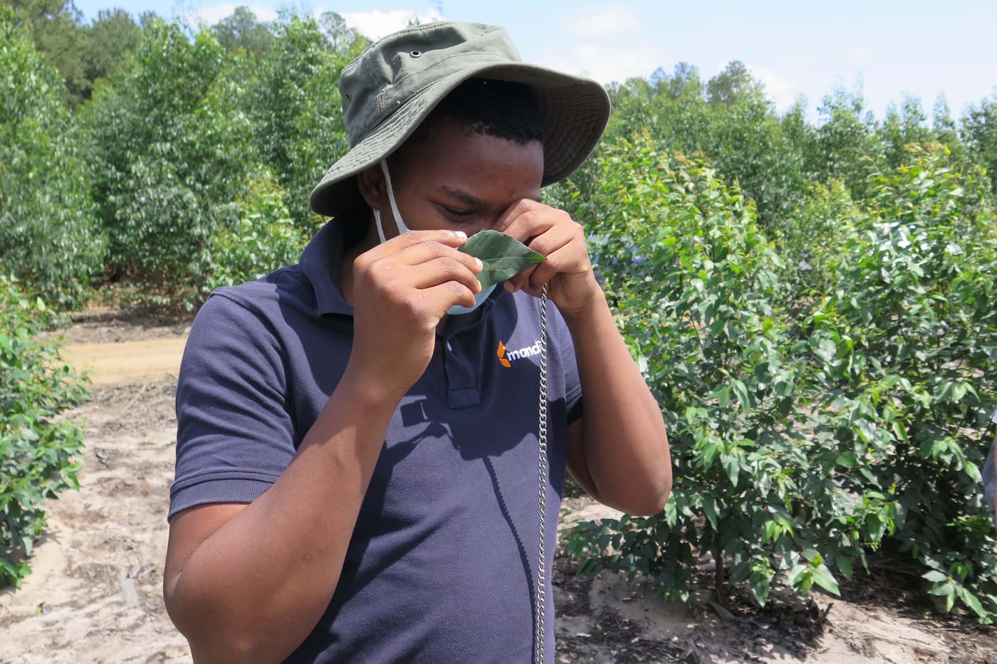 TPCP team members visit plantations on the KZN coast
