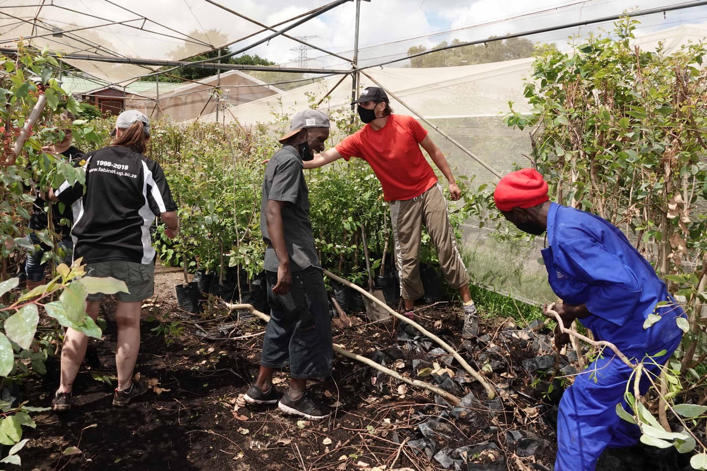 Last tree planting event for 2020