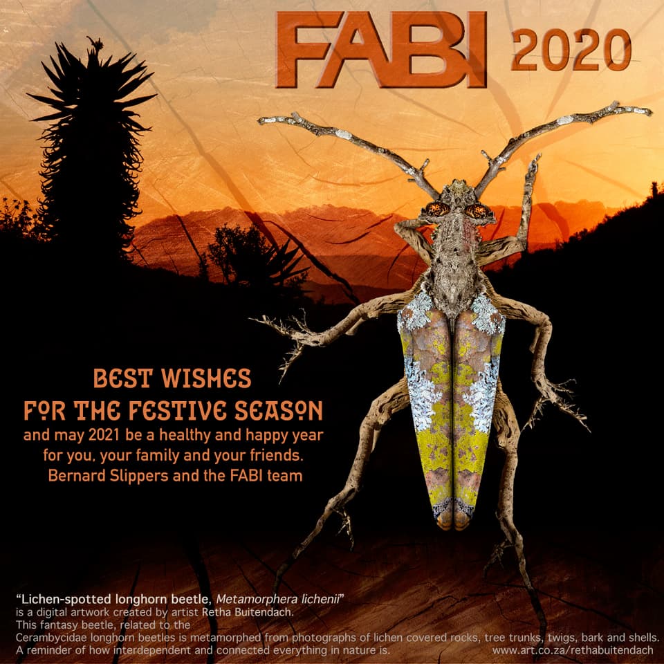 FABI wishes for the Festive Season and 2021