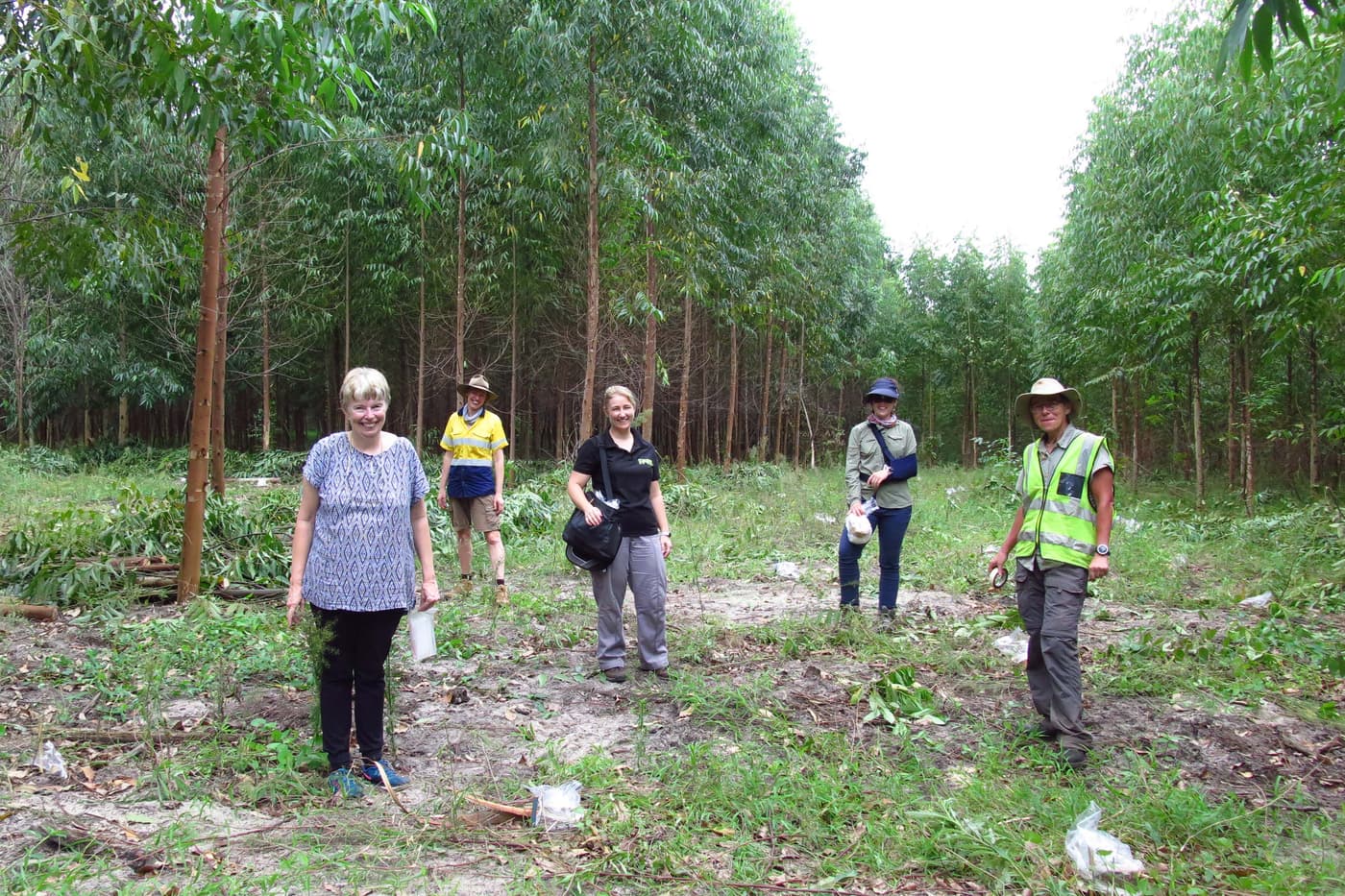 FABI researchers work with Sappi in KwaZulu-Natal