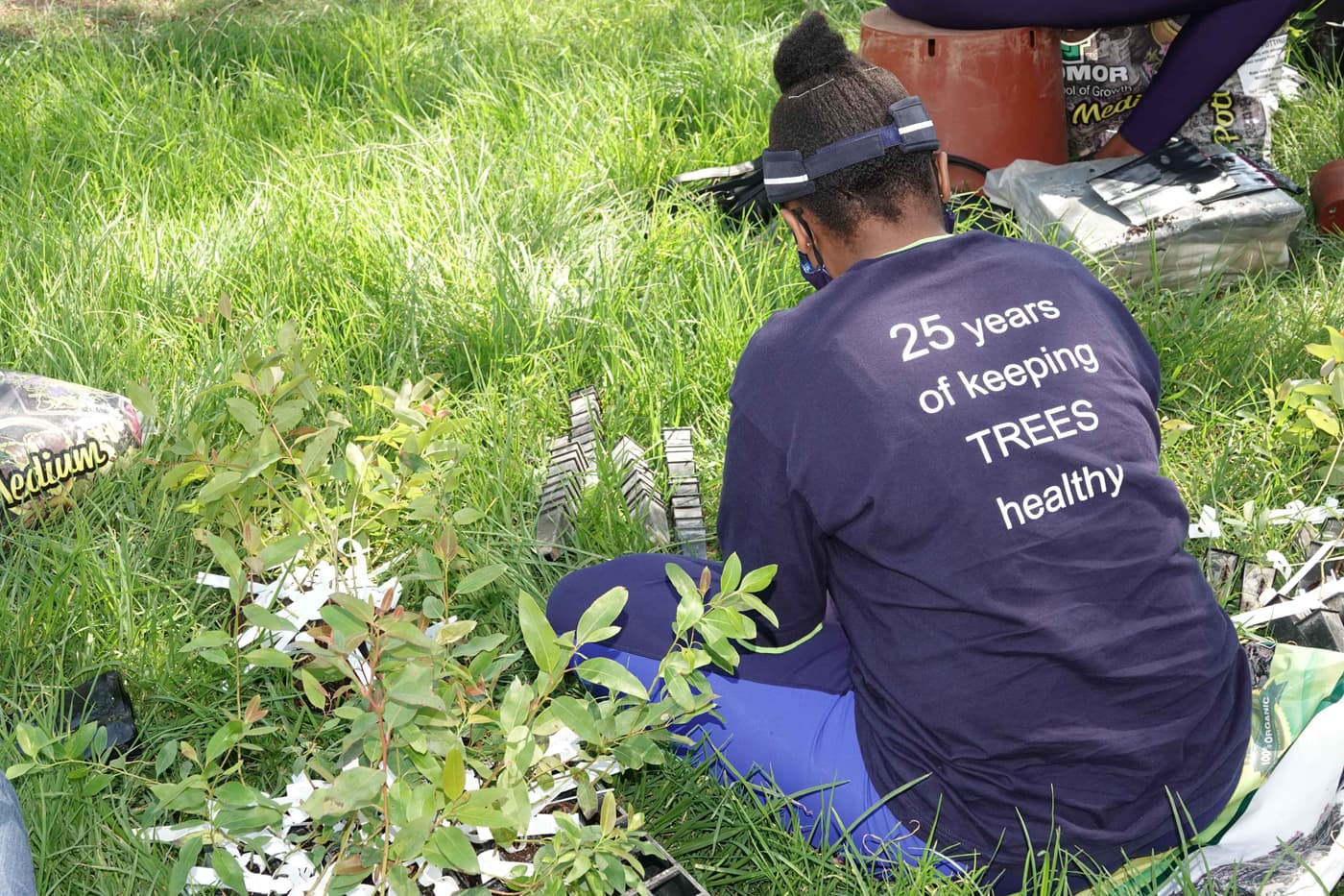 Many hands make light work at the TPCP tree planting