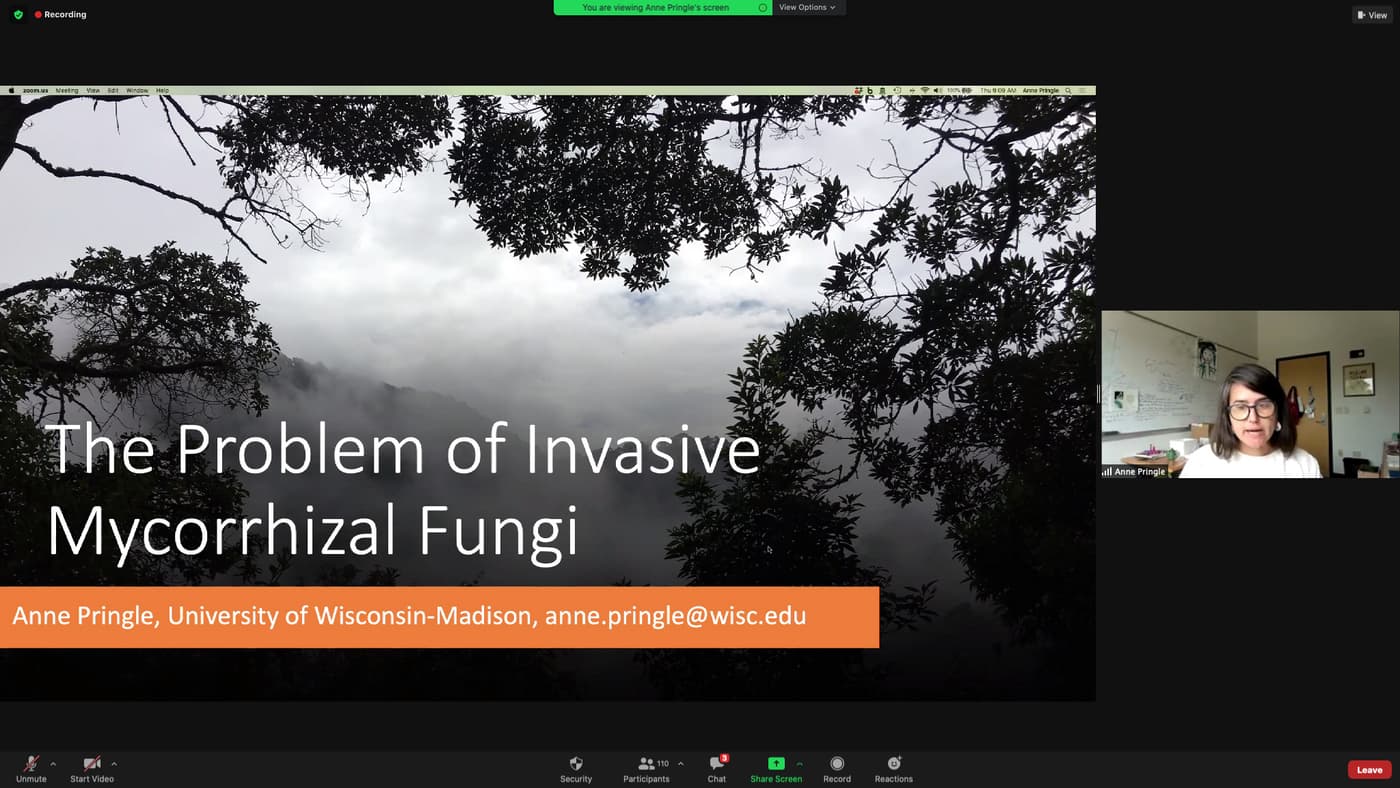The problem of invasive mycorrhizal fungi discussed in the July FABI International Seminar