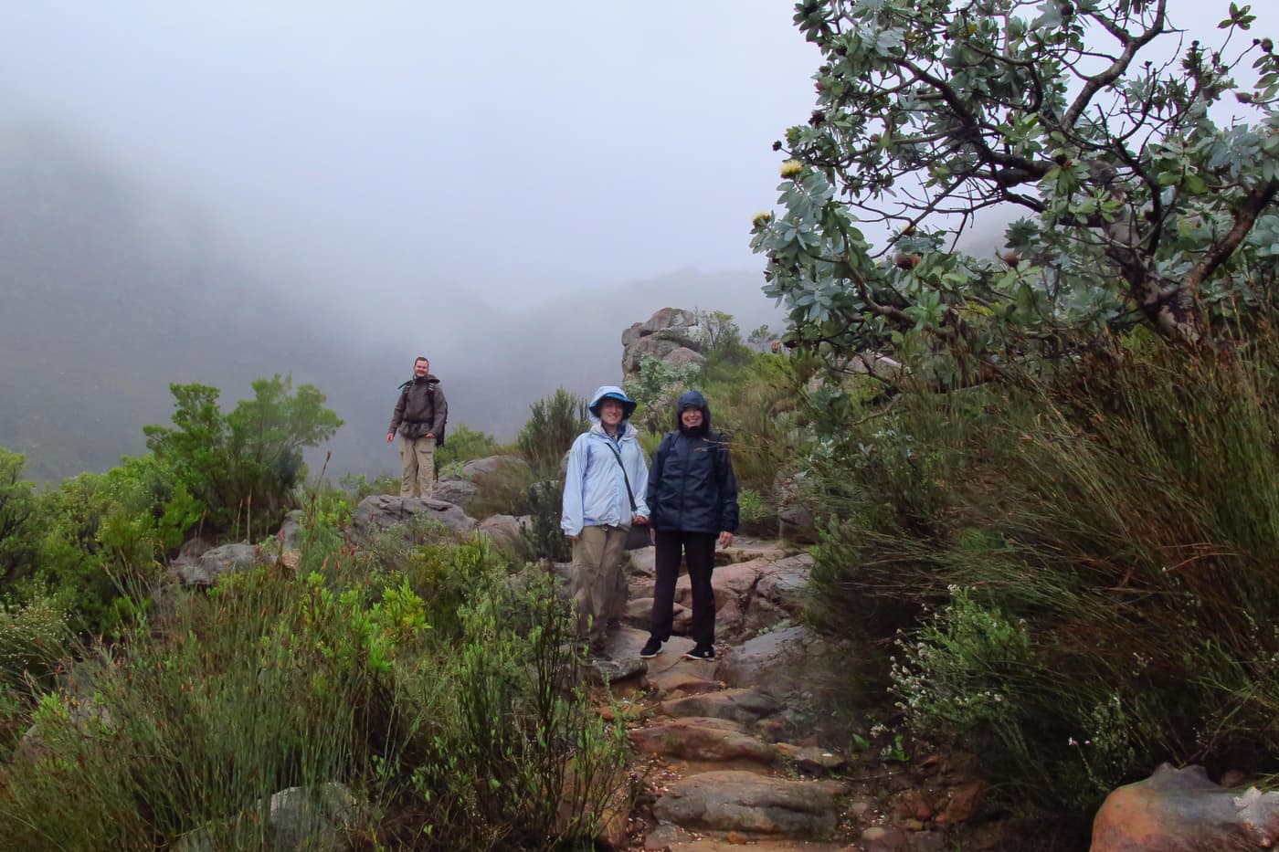 FABI team returns to the Cederberg for sampling