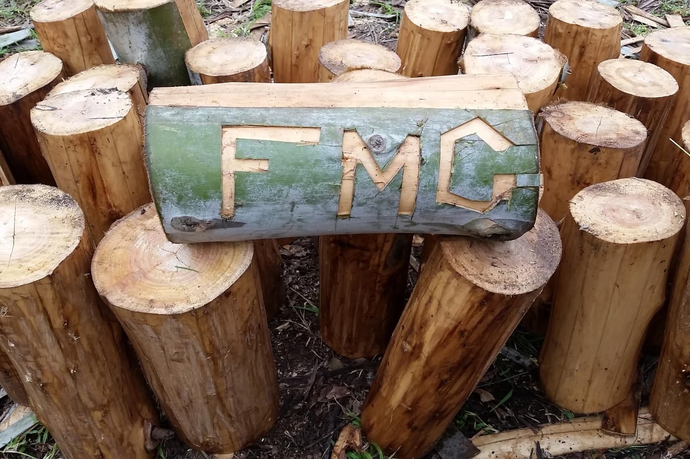 Zander Myburg and co-workers awarded US-DOE grant to decipher woody biomass production and environme