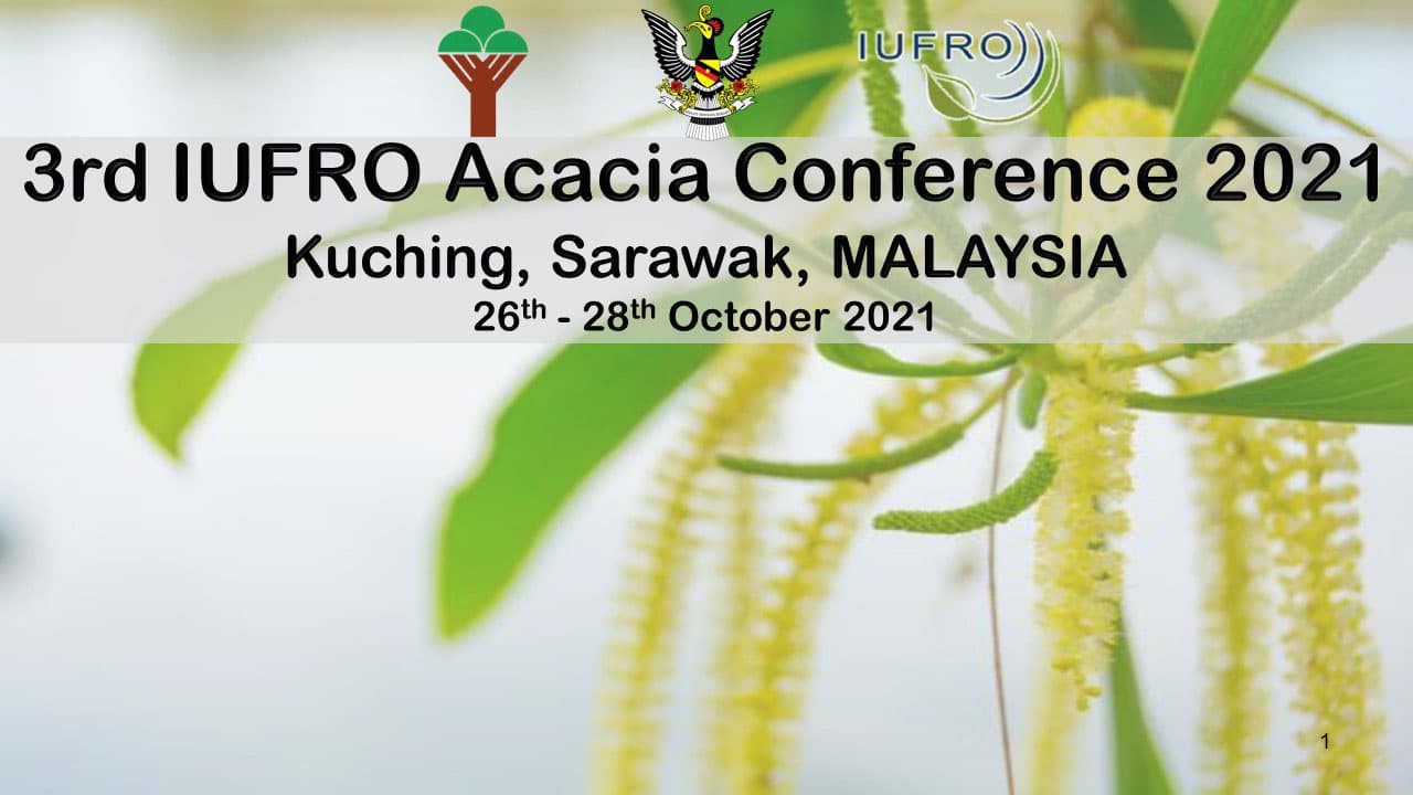 FABI researchers make an early start to present at the 3rd IUFRO <i>Acacia</i> webinar